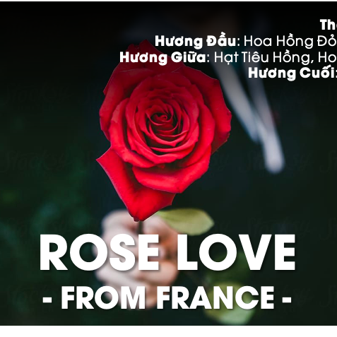 TINH DẦU ROSE LOVE