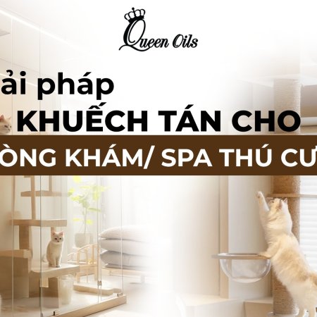 XỬ LÝ MÙI HÔI & LÀM THƠM toàn diện cho phòng khám & spa thú cưng