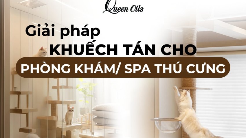 XỬ LÝ MÙI HÔI & LÀM THƠM toàn diện cho phòng khám & spa thú cưng