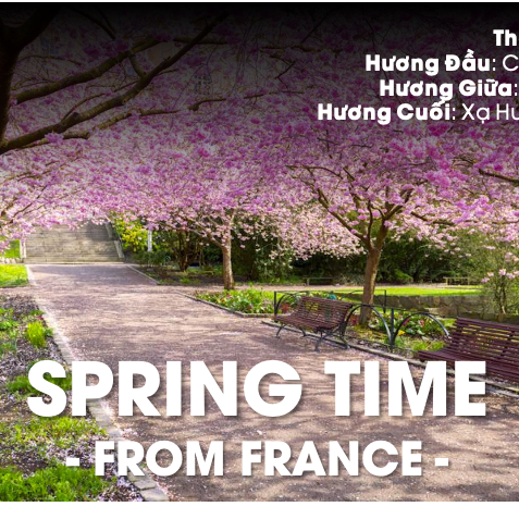 TINH DẦU SPRING TIME
