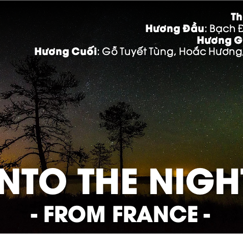 TINH DẦU INTO THE NIGHT