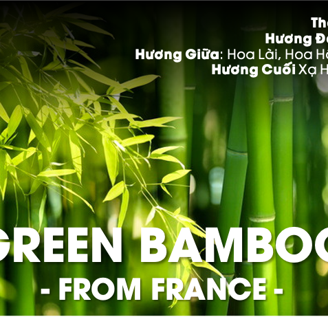 TINH DẦU GREEN BAMBOO