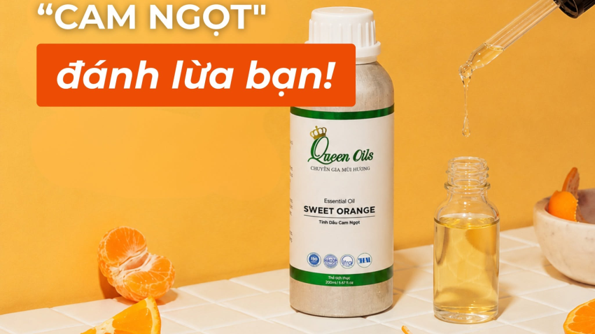 🍊 Đ𝐮̛̀𝐧𝐠 đ𝐞̂̉ 𝐜𝐚́𝐢 𝐭𝐞̂𝐧 “𝐂𝐚𝐦 𝐍𝐠𝐨̣𝐭” đ𝐚́𝐧𝐡 𝐥𝐮̛̀𝐚 𝐛𝐚̣𝐧!