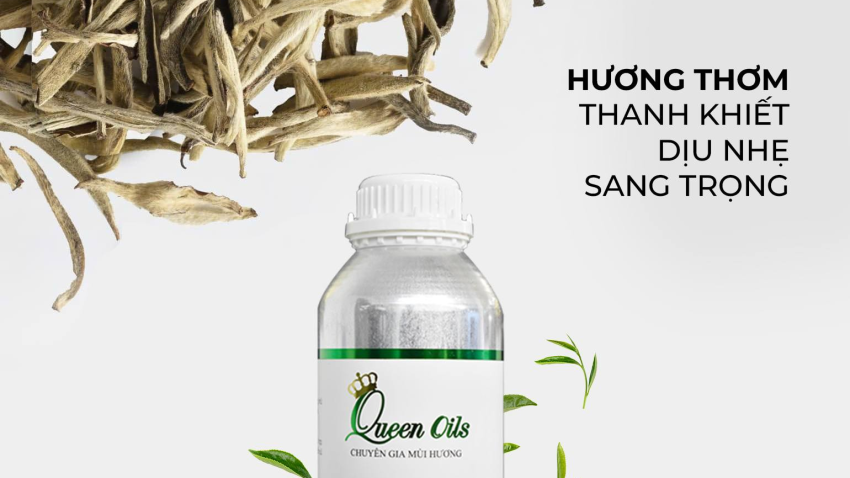 🌿 WHITE TEA OIL – TINH DẦU TRÀ TRẮNG CAO CẤP 🌿