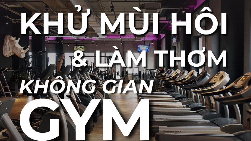 GIẢI PHÁP MÙI HƯƠNG DÀNH CHO PHÒNG GYM, FITNESS