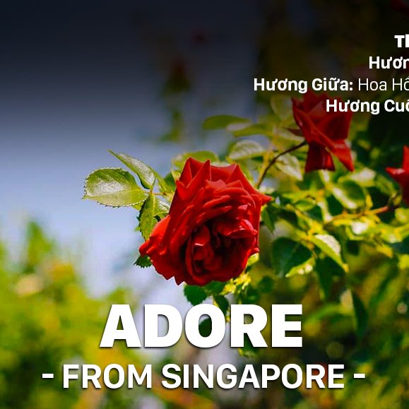 TINH DẦU ADORE