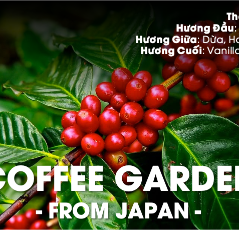 TINH DẦU COFFEE GARDEN