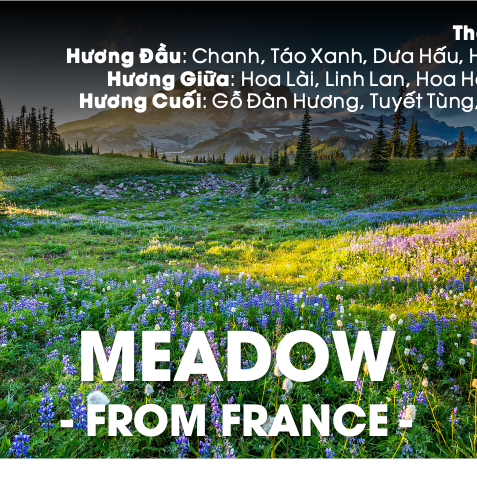 TINH DẦU MEADOW