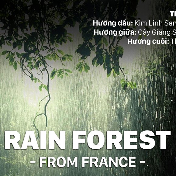 TINH DẦU RAIN FOREST