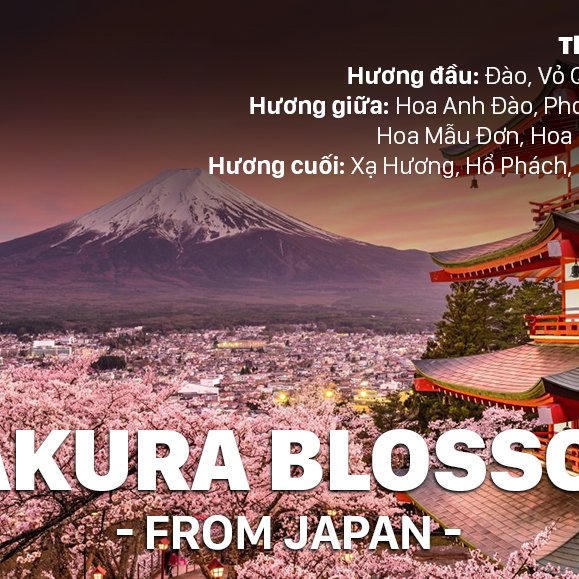 TINH DẦU SAKURA BLOSSOM