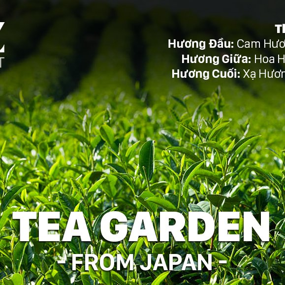 TINH DẦU TEA GARDEN