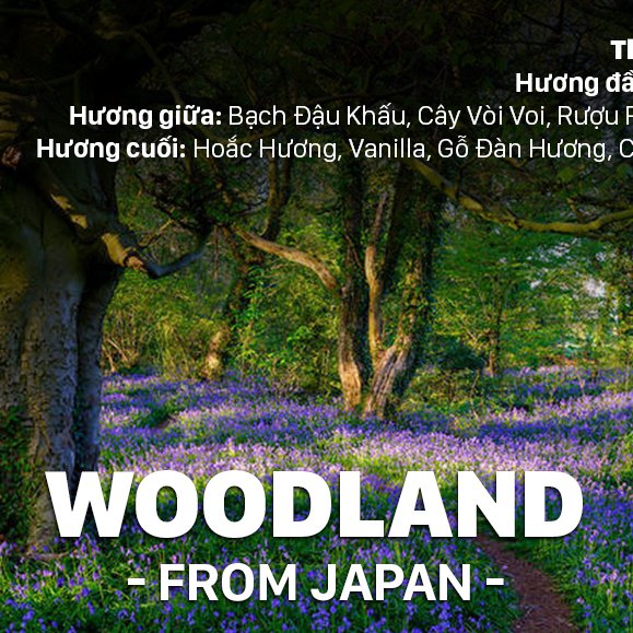 TINH DẦU WOODLAND